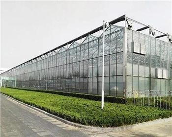 四川溫室大棚種植有哪些優(yōu)點(diǎn)是你還不知道的？