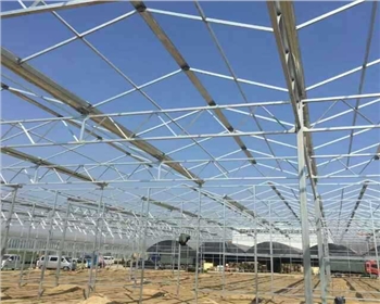 在四川大棚種植蔬菜應該注意什么？